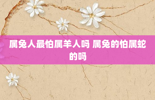属兔人最怕属羊人吗 属兔的怕属蛇的吗