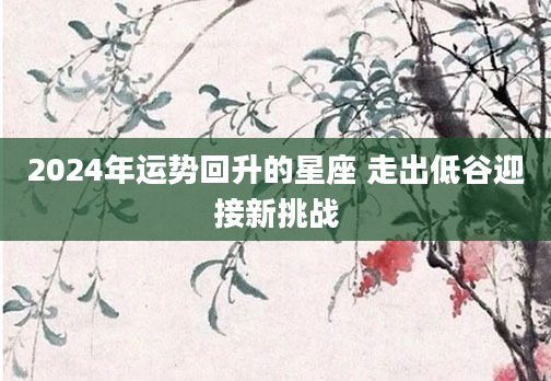 2024年运势回升的星座 走出低谷迎接新挑战