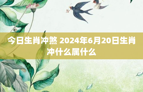 今日生肖冲煞 2024年6月20日生肖冲什么属什么