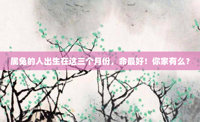 属兔的人出生在这三个月份，命最好！你家有么？