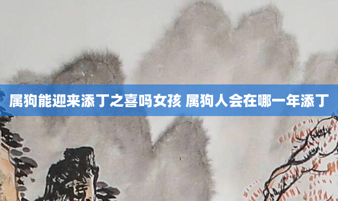属狗能迎来添丁之喜吗女孩 属狗人会在哪一年添丁