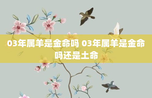 03年属羊是金命吗 03年属羊是金命吗还是土命