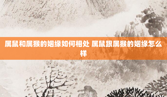 属鼠和属猴的姻缘如何相处 属鼠跟属猴的姻缘怎么样