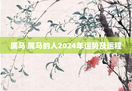 属马 属马的人2024年运势及运程