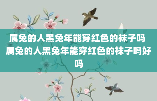 属兔的人黑兔年能穿红色的袜子吗 属兔的人黑兔年能穿红色的袜子吗好吗