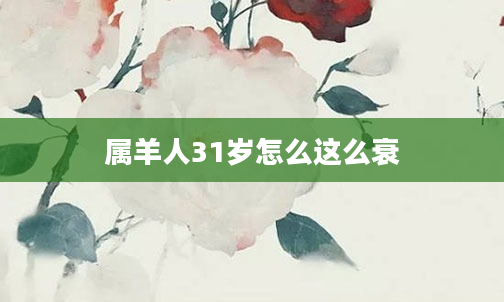 属羊人31岁怎么这么衰