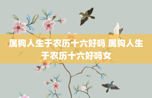 属狗人生于农历十六好吗 属狗人生于农历十六好吗女