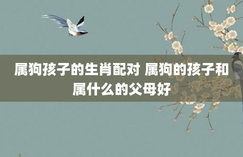 属狗孩子的生肖配对 属狗的孩子和属什么的父母好