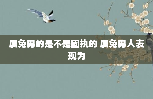属兔男的是不是固执的 属兔男人表现为