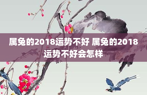 属兔的2018运势不好 属兔的2018运势不好会怎样