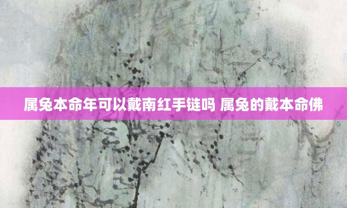 属兔本命年可以戴南红手链吗 属兔的戴本命佛
