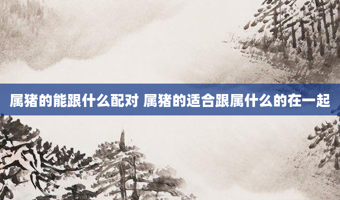 属猪的能跟什么配对 属猪的适合跟属什么的在一起