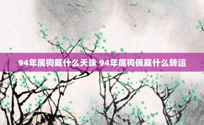 94年属狗戴什么天珠 94年属狗佩戴什么转运