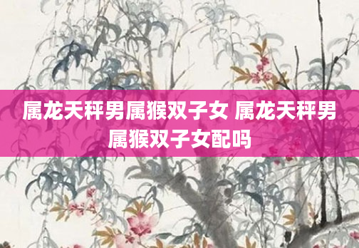 属龙天秤男属猴双子女 属龙天秤男属猴双子女配吗