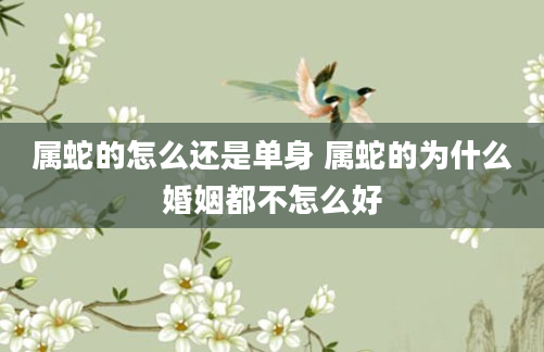 属蛇的怎么还是单身 属蛇的为什么婚姻都不怎么好
