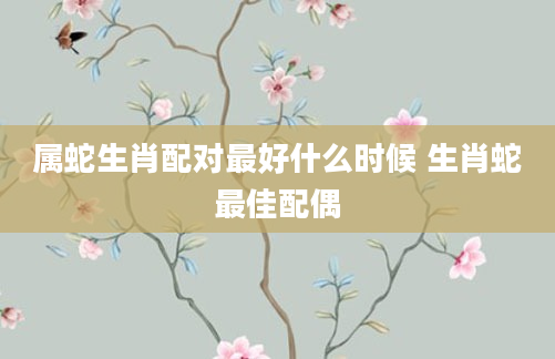 属蛇生肖配对最好什么时候 生肖蛇最佳配偶