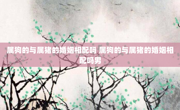 属狗的与属猪的婚姻相配吗 属狗的与属猪的婚姻相配吗男