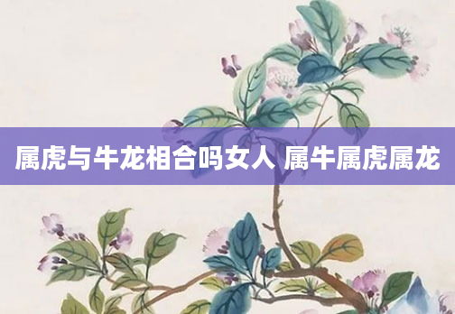 属虎与牛龙相合吗女人 属牛属虎属龙