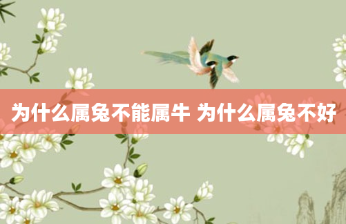 为什么属兔不能属牛 为什么属兔不好
