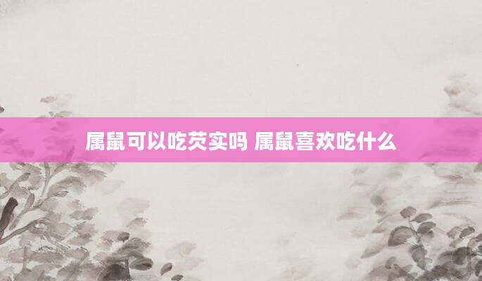 属鼠可以吃芡实吗 属鼠喜欢吃什么