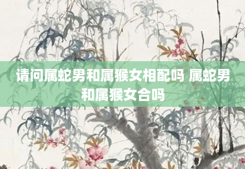 请问属蛇男和属猴女相配吗 属蛇男和属猴女合吗
