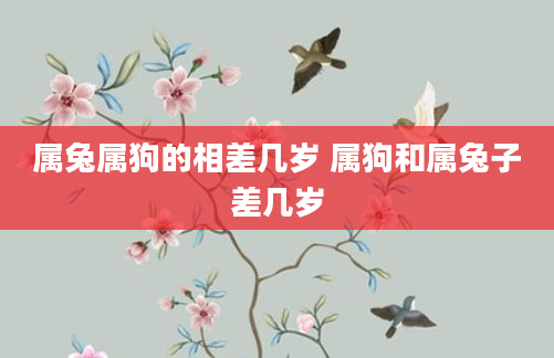 属兔属狗的相差几岁 属狗和属兔子差几岁