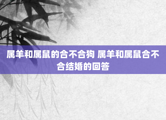属羊和属鼠的合不合狗 属羊和属鼠合不合结婚的回答