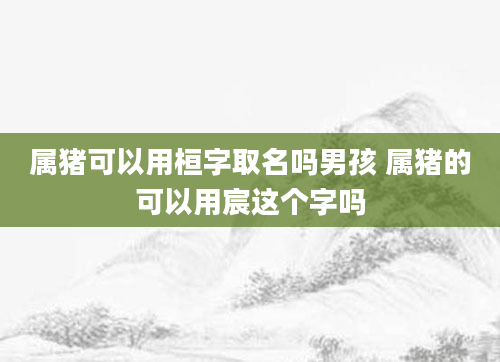 属猪可以用桓字取名吗男孩 属猪的可以用宸这个字吗