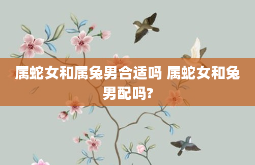 属蛇女和属兔男合适吗 属蛇女和兔男配吗?