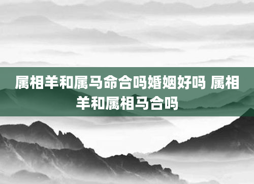 属相羊和属马命合吗婚姻好吗 属相羊和属相马合吗