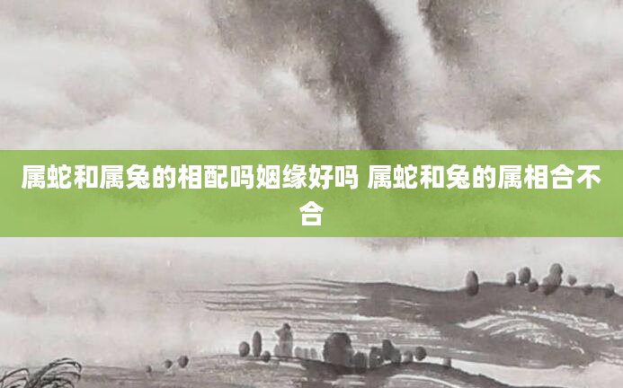 属蛇和属兔的相配吗姻缘好吗 属蛇和兔的属相合不合