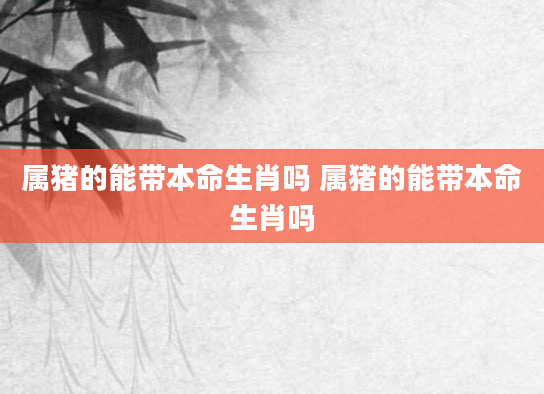 属猪的能带本命生肖吗 属猪的能带本命生肖吗