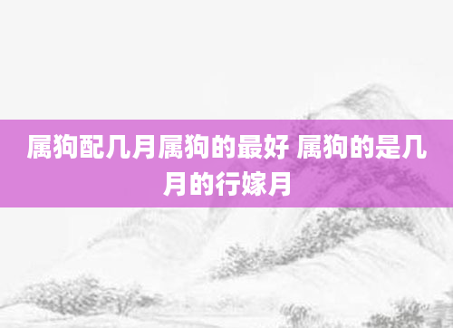 属狗配几月属狗的最好 属狗的是几月的行嫁月
