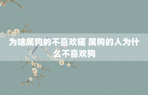为啥属狗的不喜欢猫 属狗的人为什么不喜欢狗