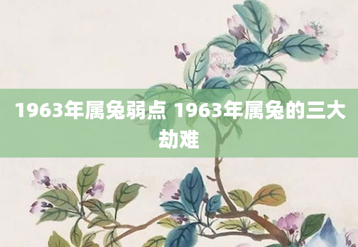 1963年属兔弱点 1963年属兔的三大劫难