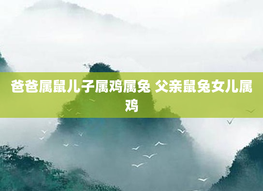 爸爸属鼠儿子属鸡属兔 父亲鼠兔女儿属鸡