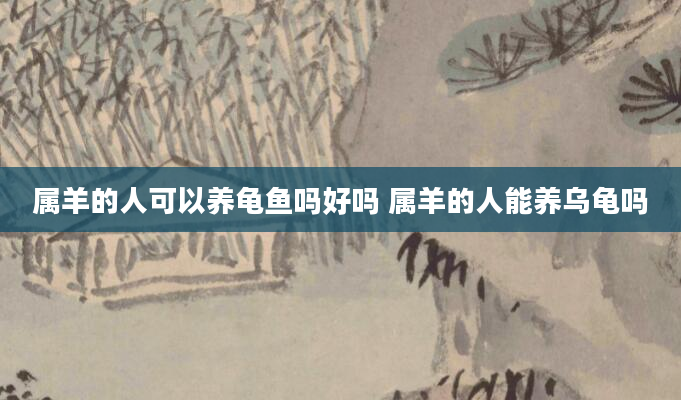 属羊的人可以养龟鱼吗好吗 属羊的人能养乌龟吗