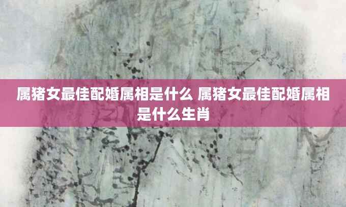 属猪女最佳配婚属相是什么 属猪女最佳配婚属相是什么生肖
