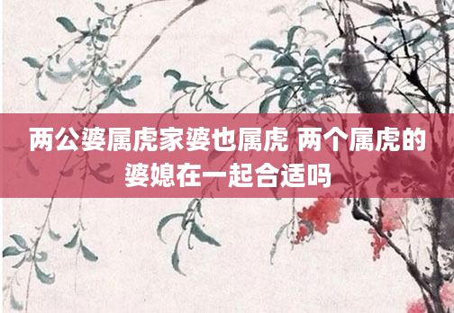两公婆属虎家婆也属虎 两个属虎的婆媳在一起合适吗