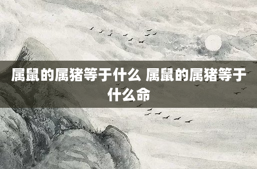 属鼠的属猪等于什么 属鼠的属猪等于什么命