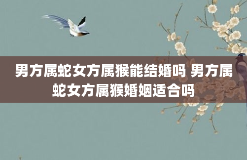 男方属蛇女方属猴能结婚吗 男方属蛇女方属猴婚姻适合吗