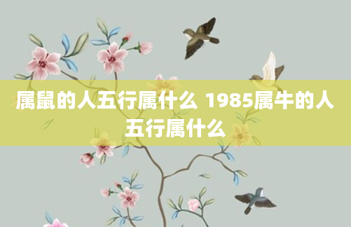 属鼠的人五行属什么 1985属牛的人五行属什么