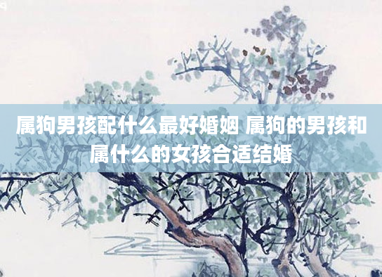 属狗男孩配什么最好婚姻 属狗的男孩和属什么的女孩合适结婚