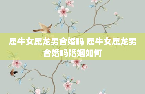 属牛女属龙男合婚吗 属牛女属龙男合婚吗婚姻如何