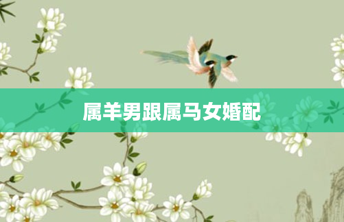 属羊男跟属马女婚配