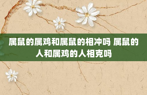 属鼠的属鸡和属鼠的相冲吗 属鼠的人和属鸡的人相克吗