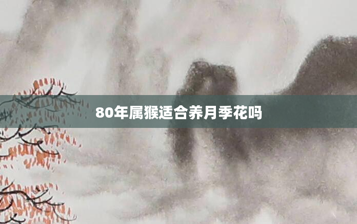 80年属猴适合养月季花吗