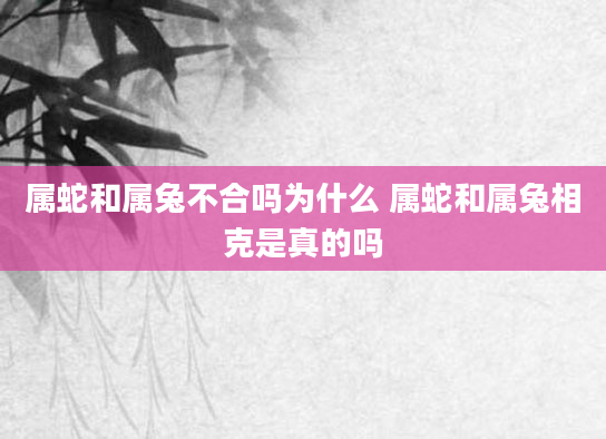 属蛇和属兔不合吗为什么 属蛇和属兔相克是真的吗