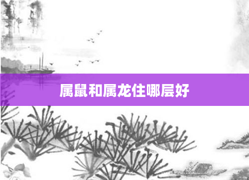 属鼠和属龙住哪层好