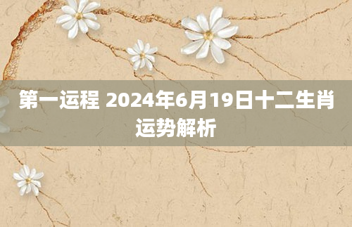 第一运程 2024年6月19日十二生肖运势解析